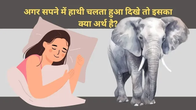 सपने में हाथी को देखना: शुभ संकेत या सिर्फ एक सपना?
