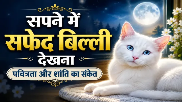 सपने में सफेद बिल्ली देखना — पवित्रता, शांति और शुभ संकेत