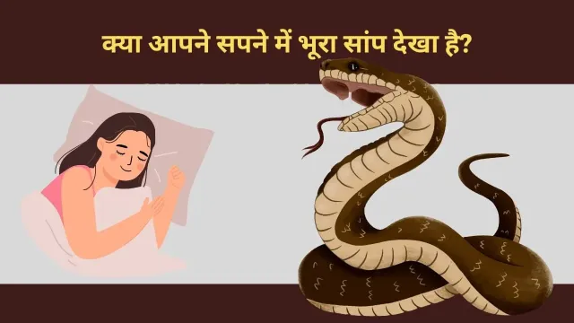 भूरा सांप: एक जटिल प्रतीक