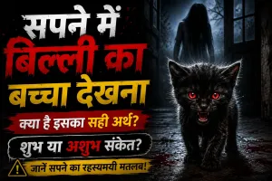 सपने में बिल्ली का बच्चा देखना