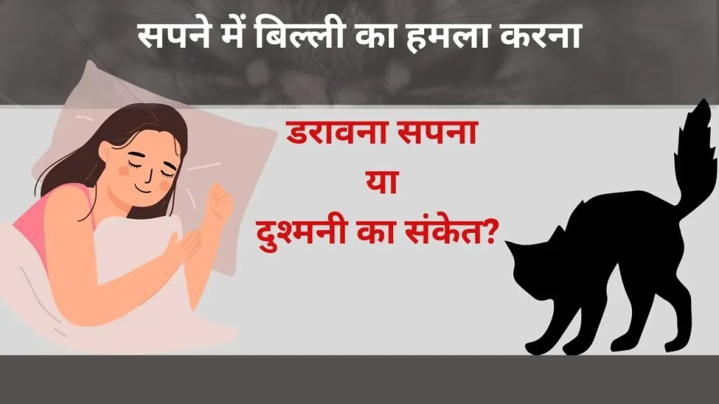 सपने में बिल्ली का हमला: क्या कहता है यह अद्भुत संकेत?