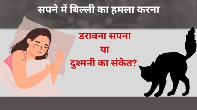 सपने में बिल्ली का हमला: क्या कहता है यह अद्भुत संकेत?