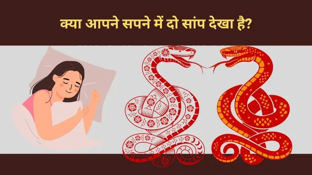 सपने में दो सांपों को देखना: एक रहस्यमय अनुभव