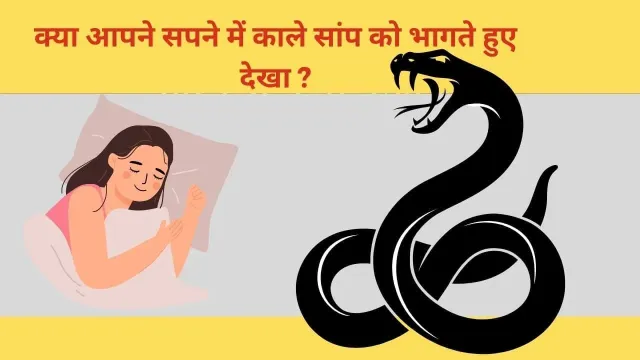 सपने में काले सांप को भागते हुए देखना: अर्थ और संकेत