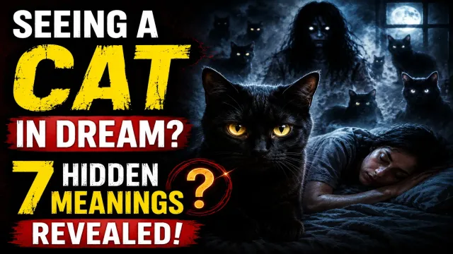 Seeing a Cat in a Dream — 7 Key Meanings