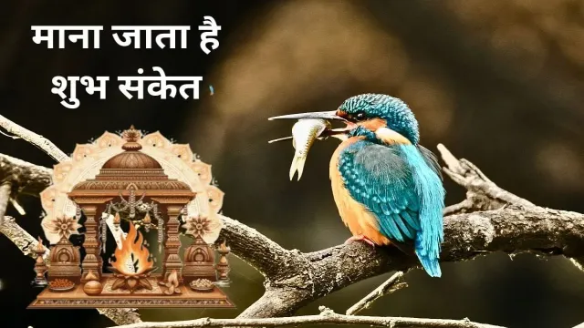 जीवन में इन चीजों का नजर आना, माना जाता है शुभ संकेत
