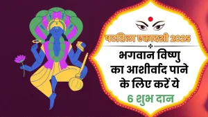 षटतिला एकादशी पर करे ये विशेष दान