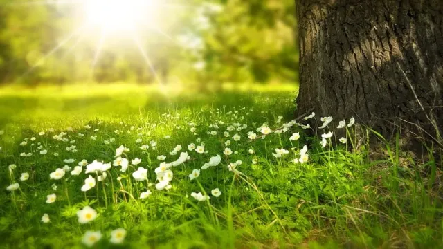 The Ancient Science of Swar Vigyan: Unlocking the Secrets to a Harmonious Life