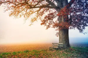 Oo – The sound of liberation and transformation