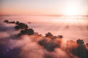 The Sun Enters Capricorn: Your Sankranti Zodiac Predictions