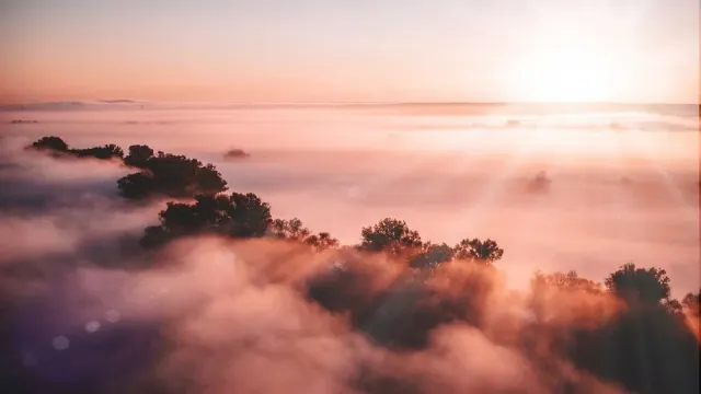 The Sun Enters Capricorn: Your Sankranti Zodiac Predictions