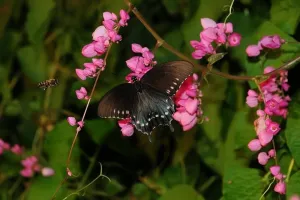 Cultivate balance and harmony in their bodies and minds