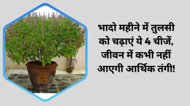 भादो महीने में तुलसी को चढ़ाएं ये 4 चीजें और पाएं आर्थिक समृद्धि