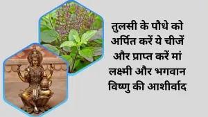तुलसी के पौधे को अर्पित करें ये चीजें और प्राप्त करें मां लक्ष्मी और भगवान विष्णु की आशीर्वाद