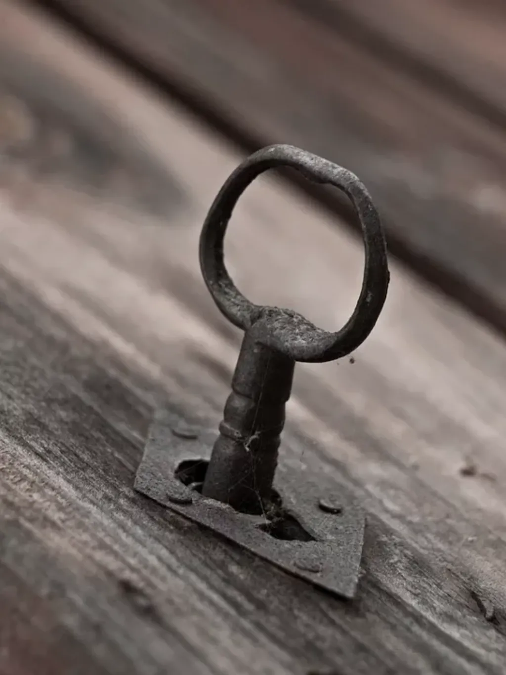 Unlock Your Future: Discovering Insights Through Nadi Astrology Readings