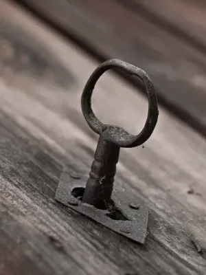 Unlock Your Future: Discovering Insights Through Nadi Astrology Readings