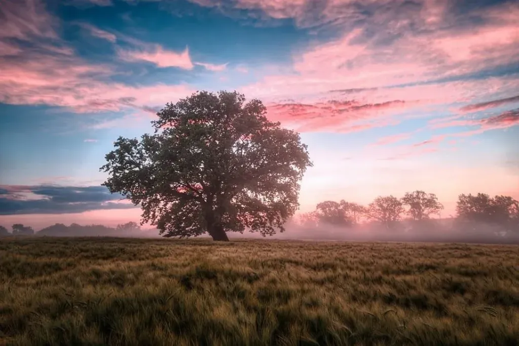 Unlocking Mental Peace with Swar Vigyan: A Path to Harmony and Balance