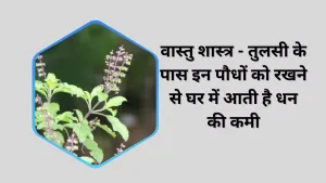 क्या आपके घर में आर्थिक समस्याएं हैं? जानें वास्‍तु शास्‍त्र के अनुसार क्या हो सकती है इसकी वजह!