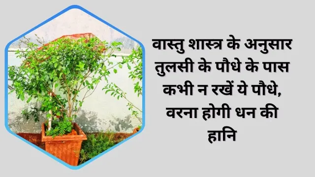 वास्तु शास्त्र के अनुसार तुलसी के पास पौधों का महत्व