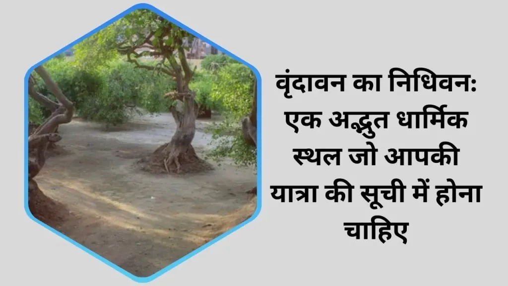 वृंदावन का निधिवन: एक अद्भुत धार्मिक स्थल जो आपकी यात्रा की सूची में होना चाहिए