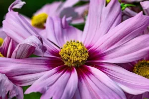 What the Stars Reveal About Your Energetic Blocks (and How to Heal Them)