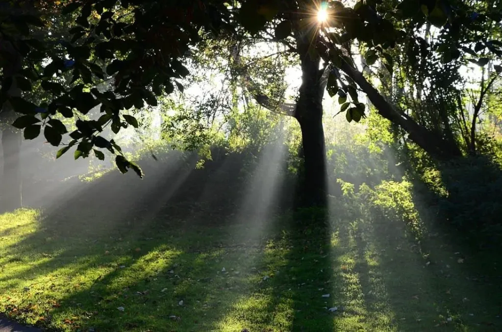 Your Rising Sign Forecast: Ascendant Predictions for [Zodiac Sign] (Specific Ascendant focus)